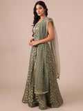 Mehendi Color Khaddi Georgette Gown with Net Dupatta - House of Surya