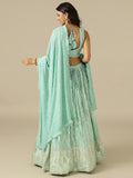 Ice Blue Chikankari Lehenga Choli with Matching Dupatta